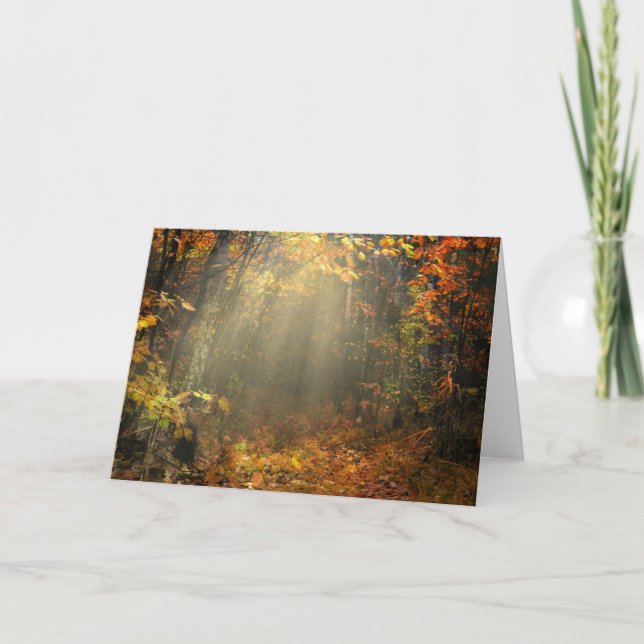 Nature Inspirations Sun Drenched Forest Card (Front)