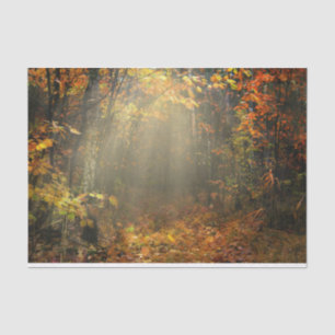 Nature Inspirations Sun Drenched Forest Tissue Paper