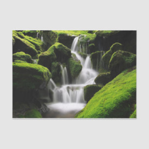 Nature Inspirations Waterfall in South Korea Tissue Paper