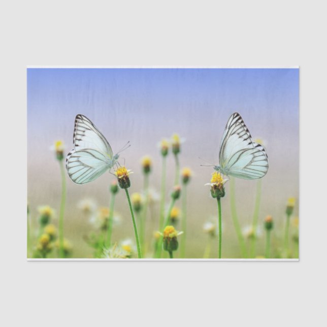 Nature Inspirations White Twin Butterflies  Tissue Paper (Front)