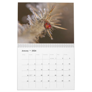 Nature inspired 2026 calendar