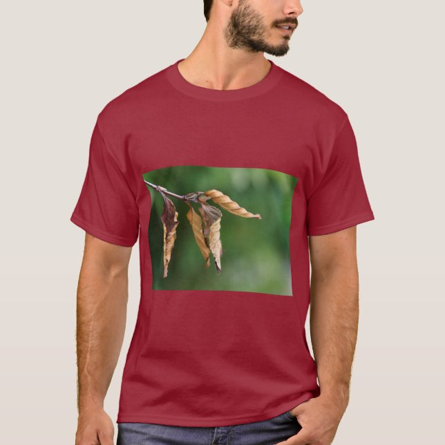 Nature-Inspired Leaves Print Tee (Front)