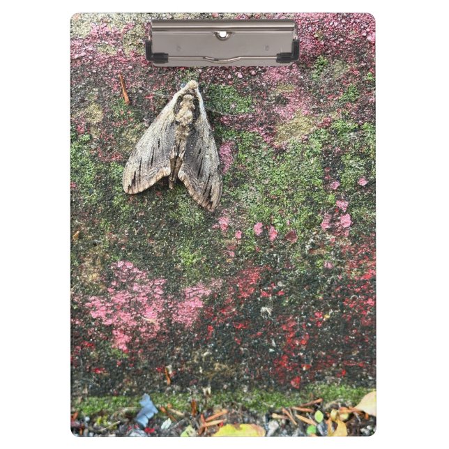 Nature Inspired Moth Clipboard (Front)