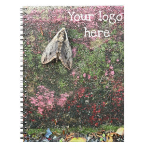 Nature Inspired Moth Notebook
