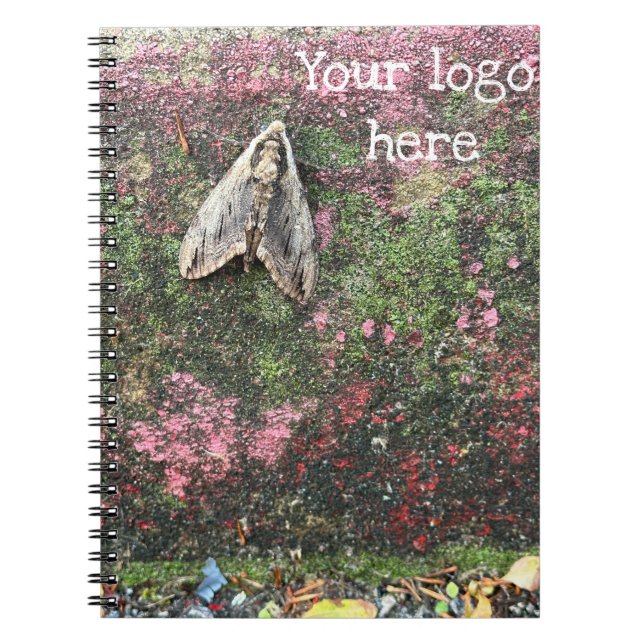 Nature Inspired Moth Notebook (Front)