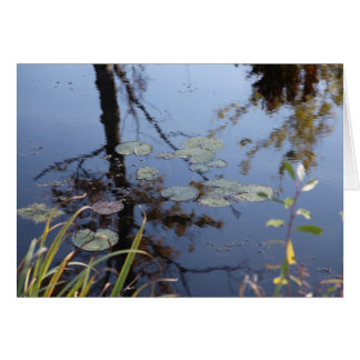 Nature is a language...