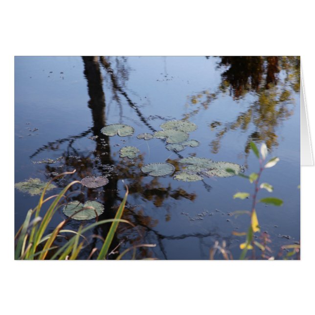 Nature is a language... (Front Horizontal)