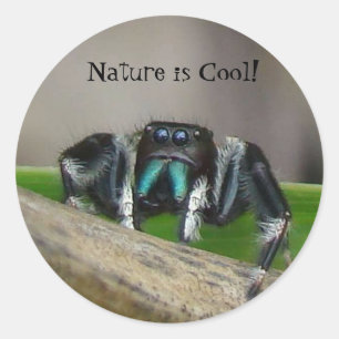Nature is Cool! Classic Round Sticker