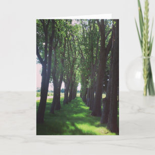 "Nature is Cool" Get Well Card