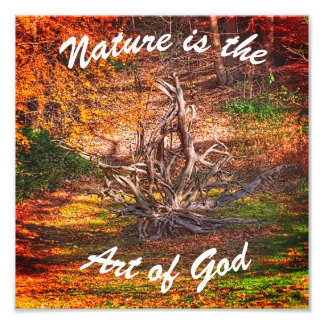 "Nature is the Art of God" Quote Print