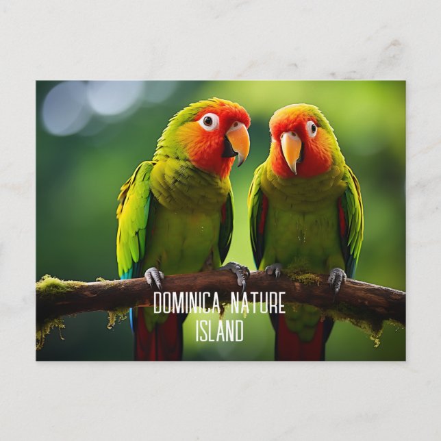 NATURE ISLAND OF DOMINICA PARROTS  POSTCARD (Front)