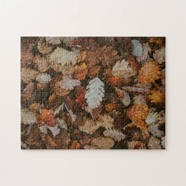 Nature Jigsaw Puzzle Autumn Jigsaw Puzzle Extreme (Horizontal)