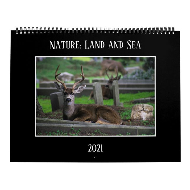 Nature: Land and Sea Calendar 2021 (Cover)