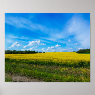 Nature Landscape Canola Field Rural Belarus Poster
