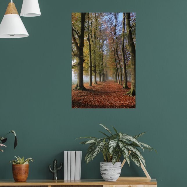 Nature landscape photography autumn trees  poster (Living Room 1)