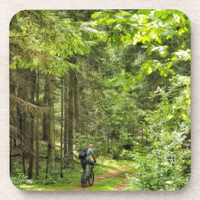 Nature Landscape Scenery Forest Belarus Coaster (Front)