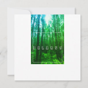 Nature Landscape Scenery Forest Belarus Flat Card