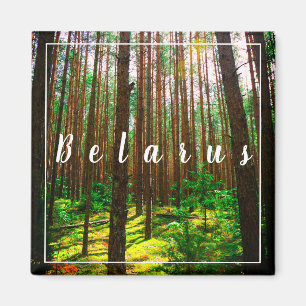 Nature Landscape Scenery Forest Belarus Magnet