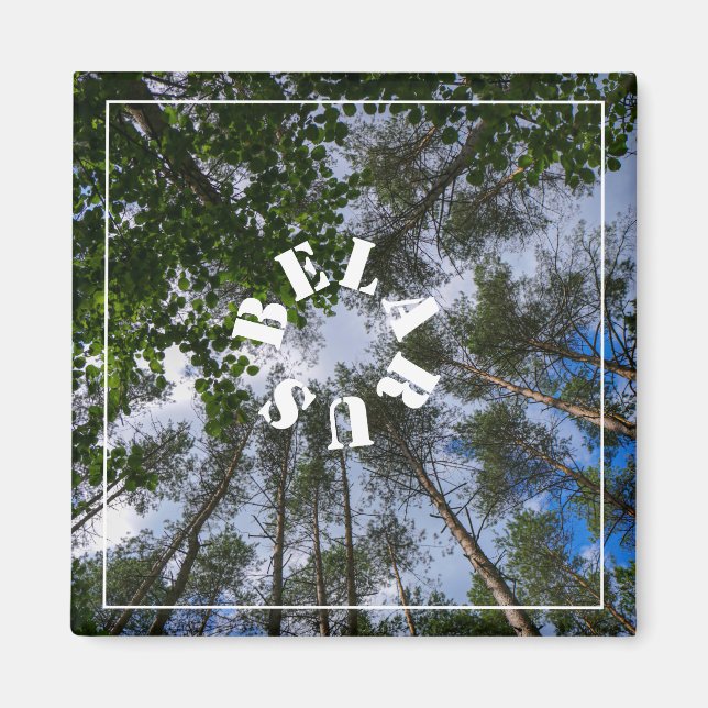 Nature Landscape Scenery Forest Belarus Magnet (Front)