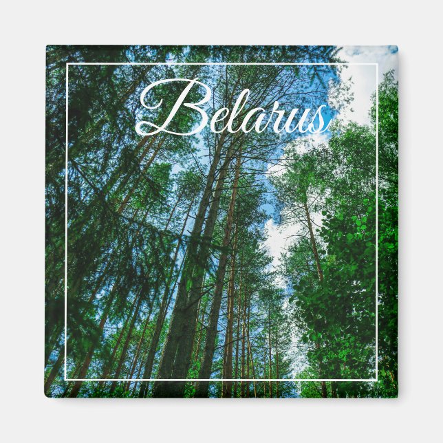 Nature Landscape Scenery Forest Belarus Magnet (Front)