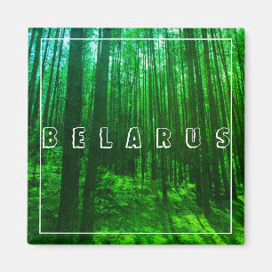 Nature Landscape Scenery Forest Belarus Magnet