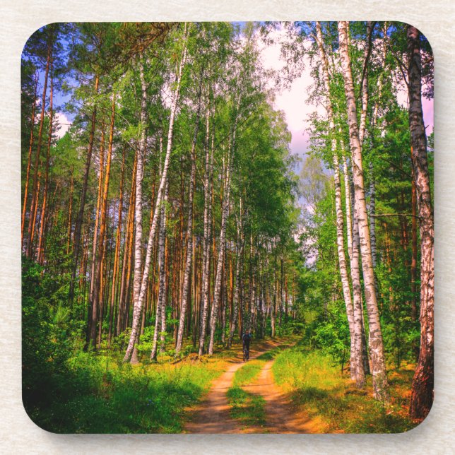 Nature Landscape Scenery Forest Birch Belarus Coaster (Front)