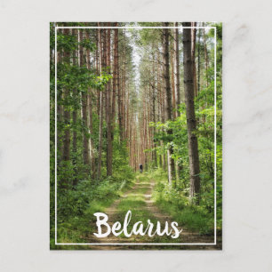 Nature Landscape Scenery Forest Cycling Belarus Postcard