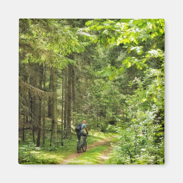 Nature Landscape Scenery Forest Trees Belarus Magnet (Front)