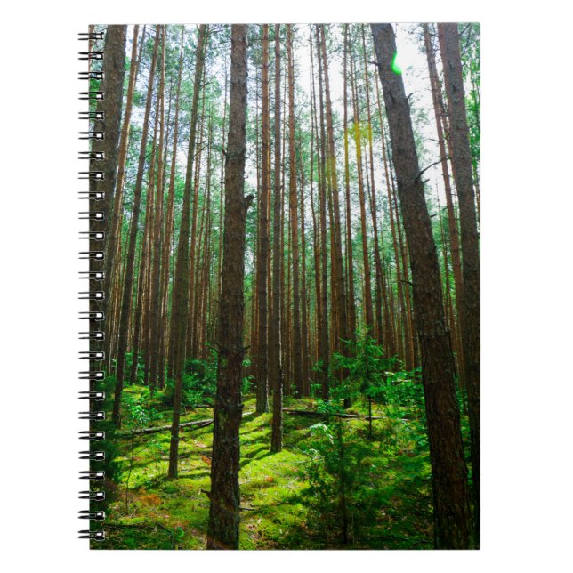 Nature Landscape Scenery Forest Trees Belarus Notebook (Front)