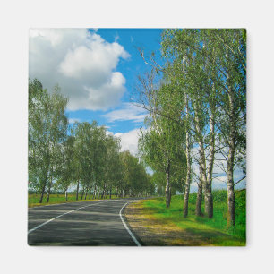 Nature Landscape Scenery Rural Belarus Birch Trees Magnet