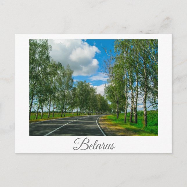 Nature Landscape Scenery Rural Belarus Postcard (Front)