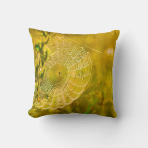 Nature Landscape Spider Spiderweb Sunlight  Cushion