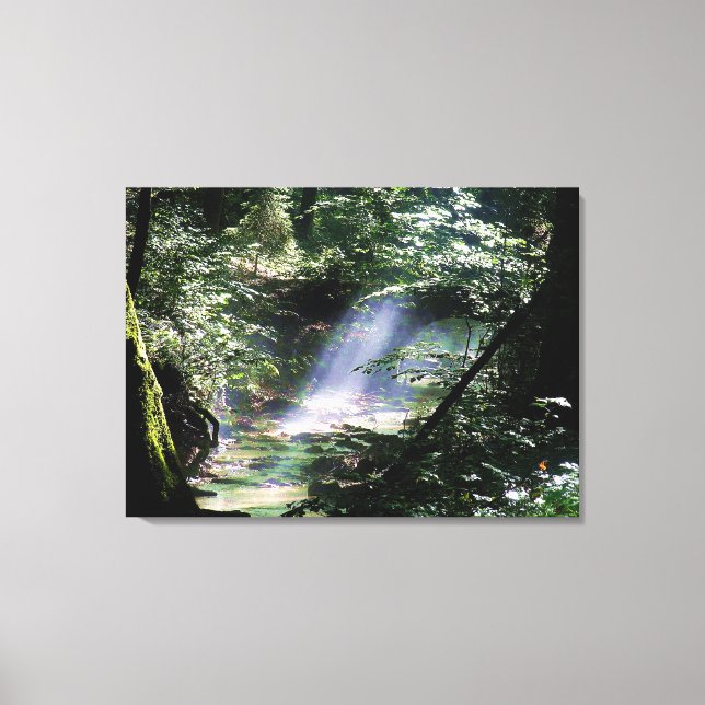 Nature Landscape Sunlight Through Trees On Creek Canvas Print (Front)