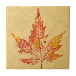 Nature leaf print of fall maple in yellows and red tile