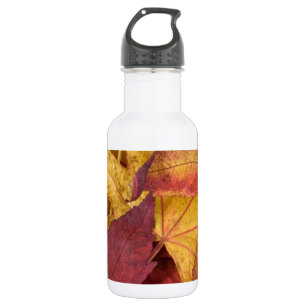 Nature Leaves Autumn Fall Tree Leaf Colourful Art 532 Ml Water Bottle
