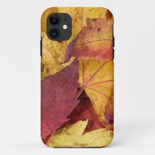 Nature Leaves Autumn Fall Tree Leaf Colourful Art iPhone 11 Case