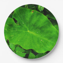 Nature leaves paper plate
