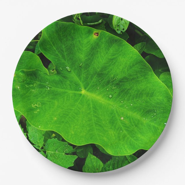 Nature leaves paper plate (Front)
