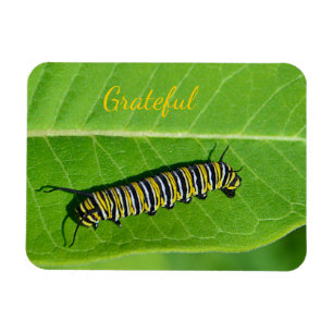Nature Lover Gratitude Magnet