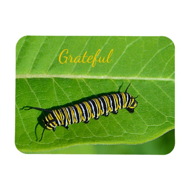 Nature Lover Gratitude Magnet (Horizontal)