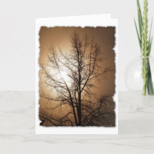 NATURE LOVER HOLIDAY CARD