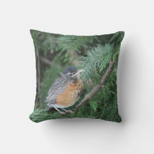 Nature lovers robin pillow