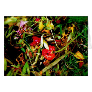 Nature Morte 18
