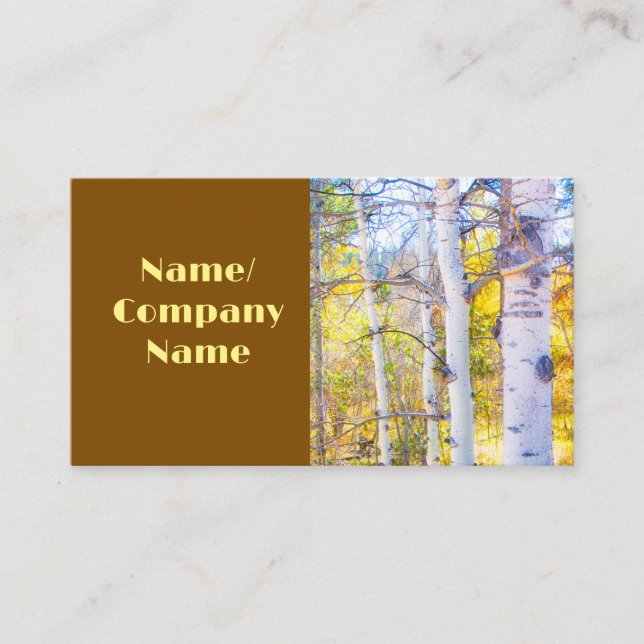 nature mountain aspen trees  autumn colours photo  business card (Front)