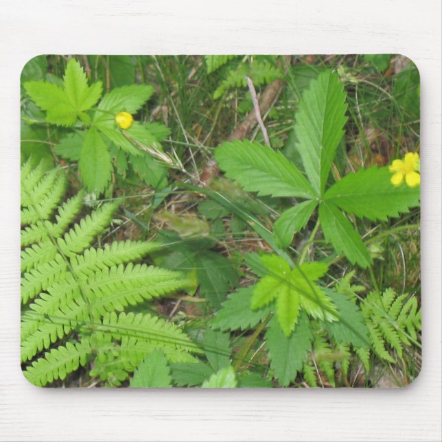 Nature Mouse Mat (Front)