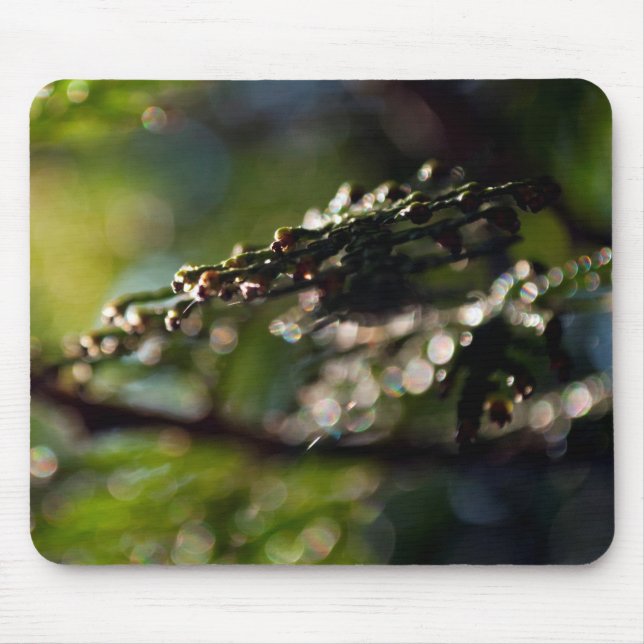 Nature Mouse Pad with maco Cedar branch photograph (Front)