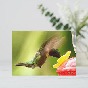 Nature note cards Hummingbird cards