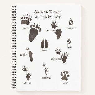 Nature Notebook Animal Tracks of the Forest