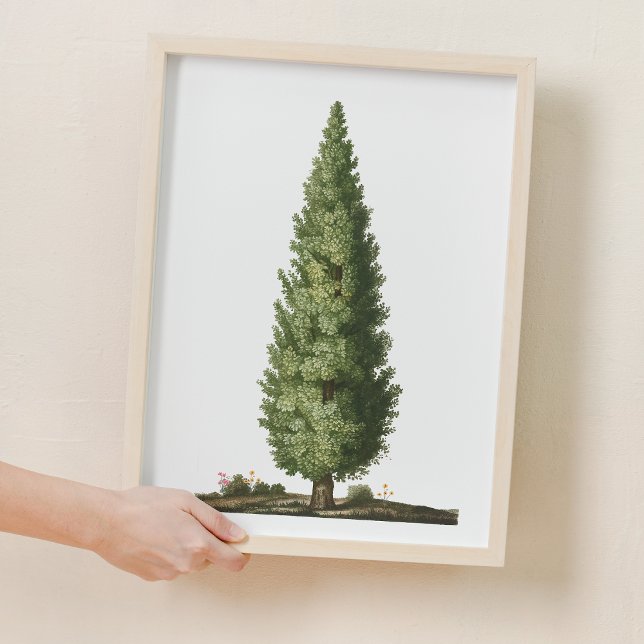 Nature Oak Tree Woodland Nursery Decor (Nature Oak Tree Woodland Nursery Decor)