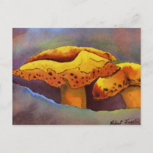 Nature Oddities Postcard